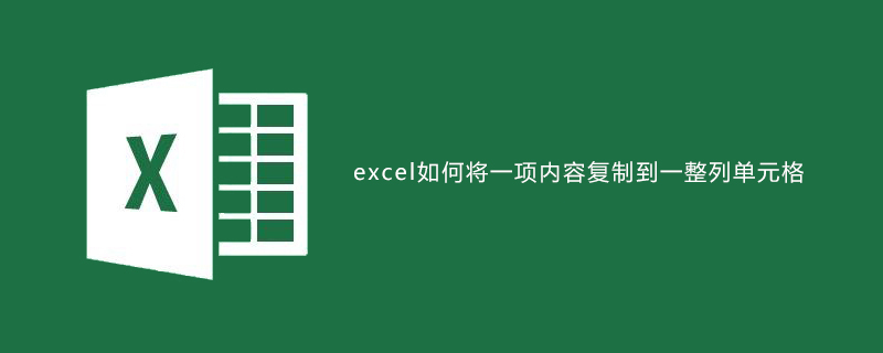 excel中如何將一項內容復制到一整列單元格-小浪學習網