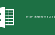 excel中表格sheet1不见了怎么办