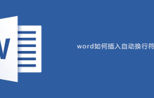 word如何插入自动换行符