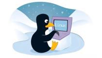 安装linux系统至少需要哪几个分区