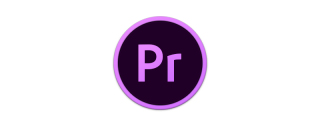 Premiere如何调整视频大小？