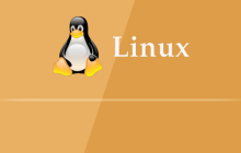 linux下phpmyadmin如何配置