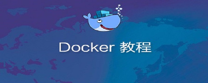 如何在docker容器中运行GUI程序？