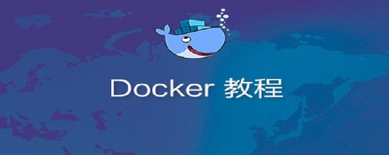 Wie entpacke ich Dateien in Docker?