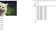 教你一招搞定css背景图的大小