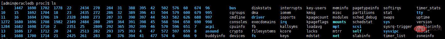 技術解答linux在/下的定義和規范