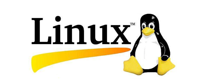 一起聊聊linux操作系統的常用命令及環境變量-小浪學習網