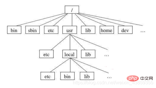 Linux オペレーティング システムの一般的なコマンドと環境変数について話しましょう