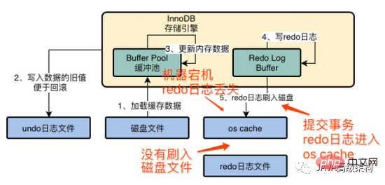 MySQL 원리와 InnoDB 스토리지 엔진 아키텍처 설계를 완전히 마스터하세요.