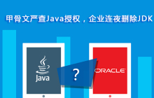 oracle严查Java许可，企业连夜卸载JDK