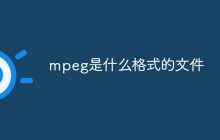 mpeg是什么格式的文件
