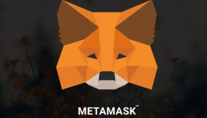 2025年最新版MetaMask教程：从安装、设置到防盗，小白必看