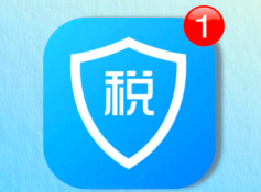 个人所得税网页版入口 个人所得税网页版登录入口