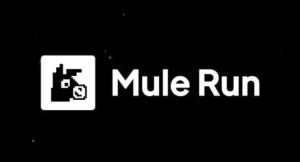 mulerun官网在线网址_mulerun官网入口
