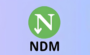 NDM下载器中文版下载