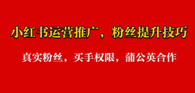小红书新号快速涨粉的3个野路子,解决新号涨粉流量瓶颈问题 - php中文网