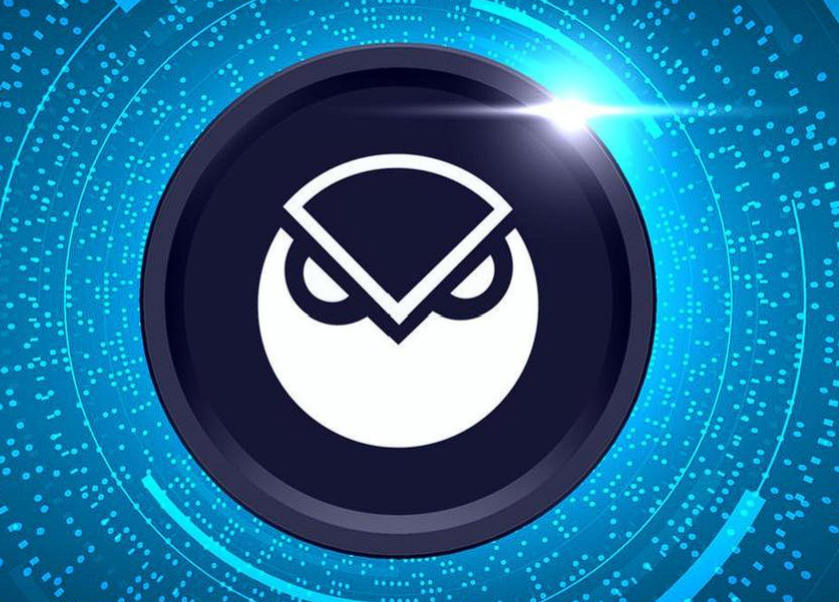 gno币这个币怎么样