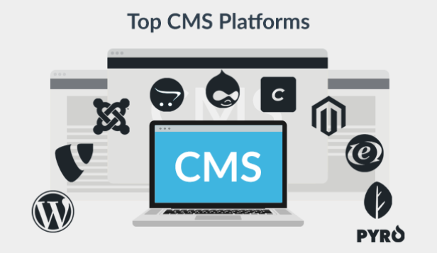 2025 年最適合開發人員的 10 個 PHP CMS 平臺 - 小浪云數據