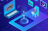 php中的卷曲：如何在REST API中使用PHP卷曲扩展