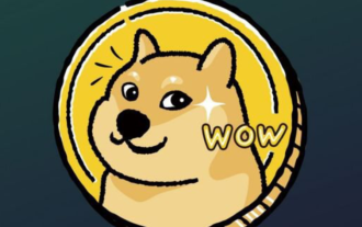 Was besser ist, dotecoin oder bitcoin_comparison des Unterschieds zwischen Dogecoin und Bitcoin