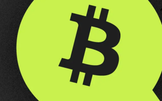 如何辨別假山寨幣？教你避免幣圈騙局