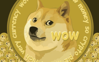 How to check real-time price of Dogecoin_The best market query website recommendation