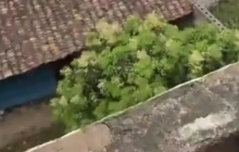 男子持钉枪连续射杀2人因患精神病被判死缓,被害人家属发声