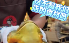 女子带宠物蛙就餐被店员误认是食材 蛙：第一次来就差点被宰客
