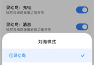 小米灵动岛怎么打开 小米17灵动岛怎么设置
