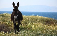 使用 GitOps 彻底改变您的 MuleSoft 部署
