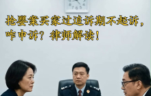 抢婴案律师:从未见过如此嚣张的被告 详细介绍
