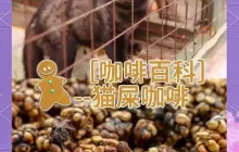 备受争议的猫屎咖啡究竟特别在哪