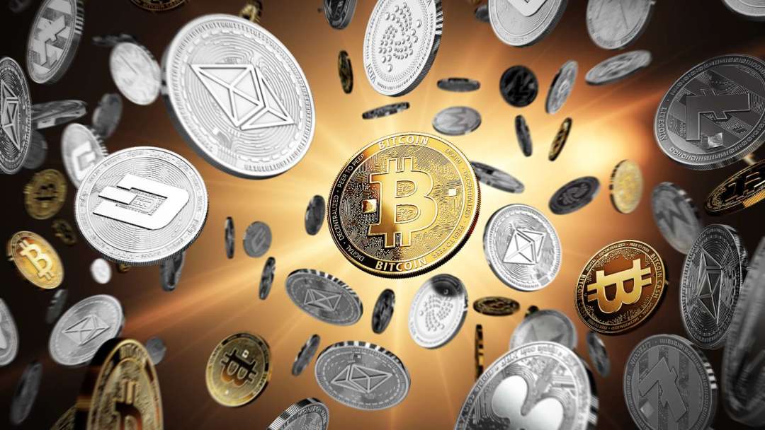2025年最受欢迎的免费国外行情软件排行,最适合初学者的是哪款?