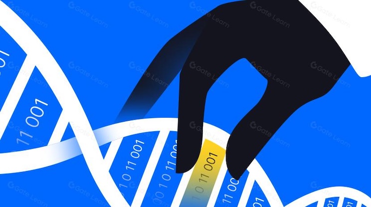 鲍威尔鸽派放水，比特币（btc）为何仍然“任性下跌”？ - php中文网