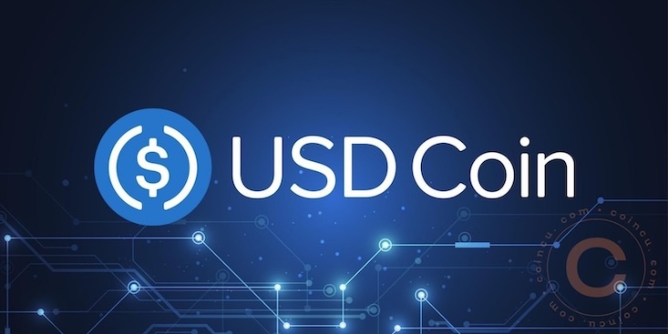 什么是USDC(USDCoin)?如何运作?USDC用途、存储及未来详解