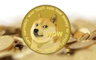 Why is Dogecoin called 'meme coin'? What's the story?