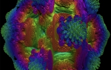 毒蘑菇volumeshader病毒测试网址 volumeshader-bm测试入口