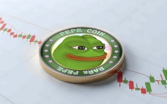 Pepe Coin ?? ?? K- ?? ?? ? Pepe 24 ?? ?? ?? ??? ??