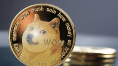 Doge Coin 24-Stunden-Preis K-Line-Diagramm App DogEcoin Neueste Wechselkurs-Trendanalyse