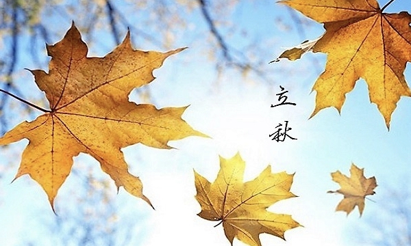 立秋这一天应该吃什么？立秋当天吃什么最好？ - php中文网