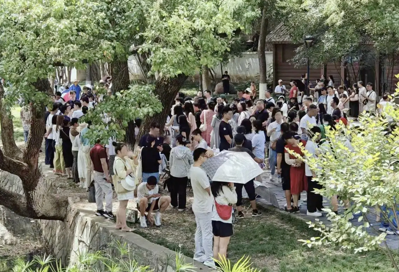 年轻人组队勇闯公园相亲角怎么回事 年轻人组队勇闯公园相亲角详情介绍 - php中文网