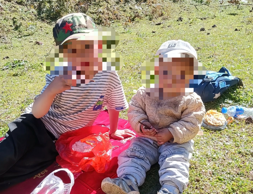 兄妹被胡蜂蜇亡全身伤口达700个是怎么回事?详情介绍 - php中文网