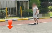 小区蛇群泛滥大蛇小蛇到处窜 有业主曾被毒蛇咬伤