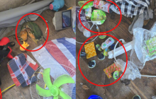 單親母親離世后2歲男童靠零食存活 男童父親：兒子現(xiàn)在狀態(tài)很好
