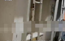 湖南师大被曝霉菌宿舍后连夜装修是怎么回事？详情介绍