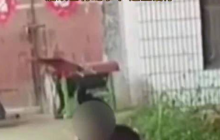 女子与蟒蛇亲吻表演突然被咬住鼻子是怎么回事？详情介绍
