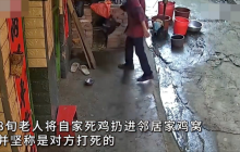 老人扔死鸡诬陷邻居并抓活鸡抵赖是怎么回事?详情介绍