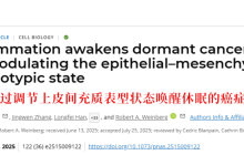 研究发现长期炎症会唤醒癌细胞:这5个方法有效降低全身炎症