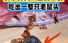 网购鱼皮零食吃出整只老鼠头是怎么回事？详情介绍