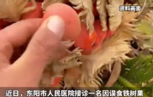 男子捡凤凰蛋煲汤后中毒是怎么回事?详情介绍